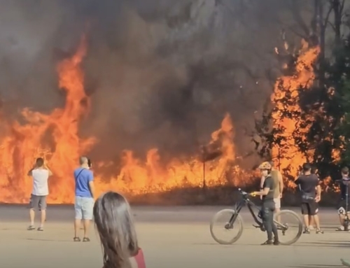 El legado de Judith Piquet será una Isla del Colegio abandonada y arrasada por el fuego