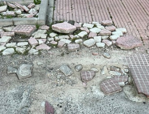 El PSOE lleva a los primeros Plenos de Distrito del año propuestas para mejorar la seguridad, la accesibilidad y la calidad de vida en los barrios