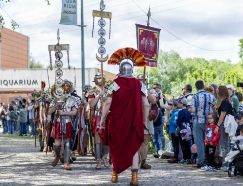 El PSOE de Alcalá denuncia el desmantelamiento del mercado romano y alerta de su impacto económico y cultural